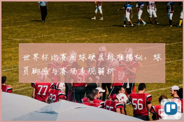 世界杯比赛用球硬度标准揭秘,球员脚感与赛场表现解析