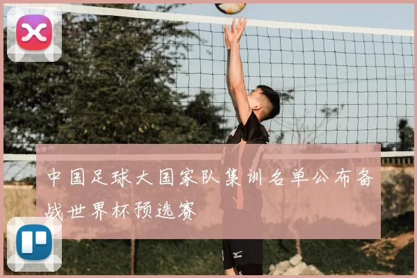 中国足球大国家队集训名单公布备战世界杯预选赛