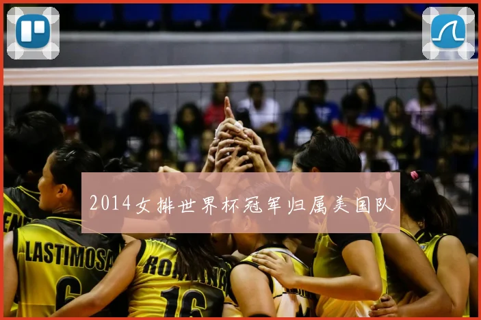 2014女排世界杯冠军归属美国队