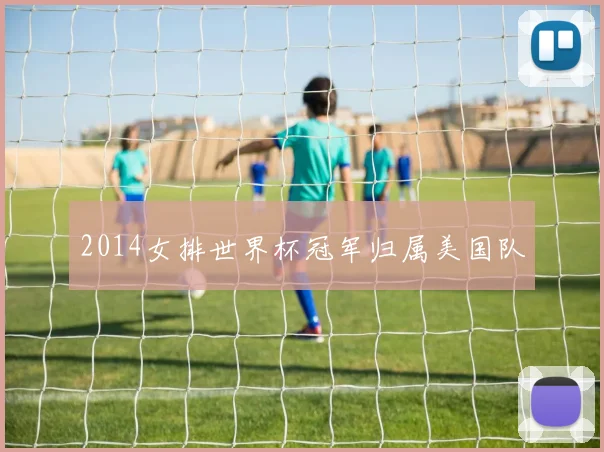2014女排世界杯冠军归属美国队
